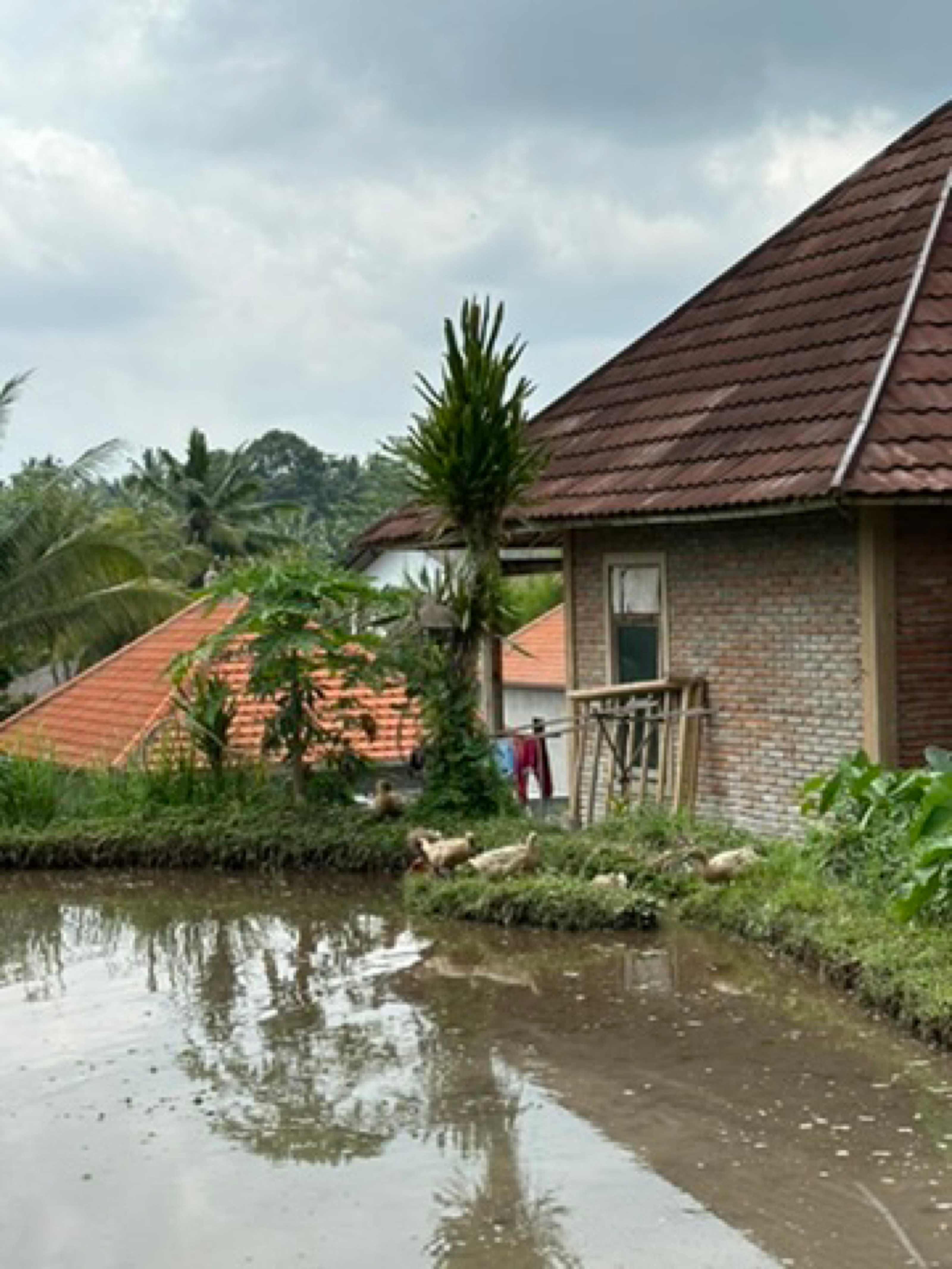 Stay context - Ubud