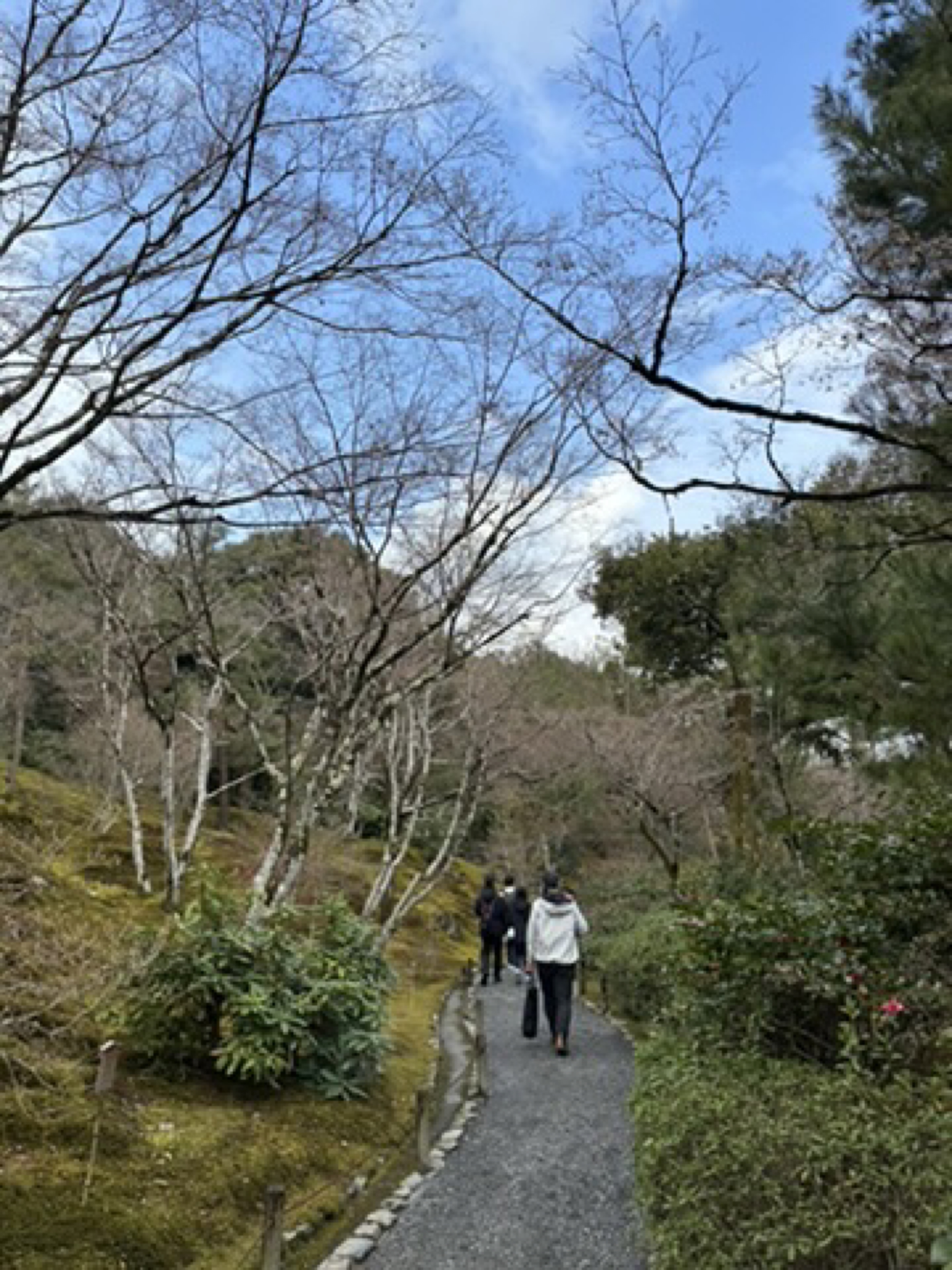 Arashiyama Bamboo Forest