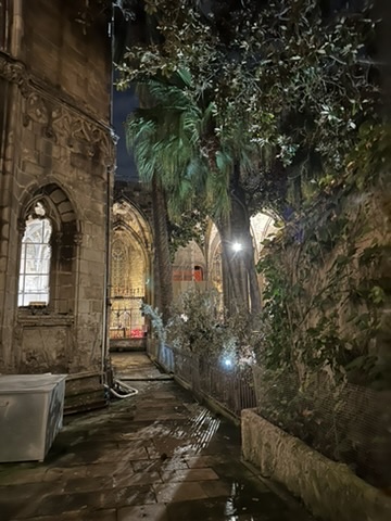 Barcelona Cathedral